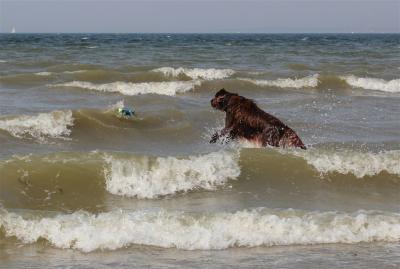 img_3071-ben_am_meer.jpg