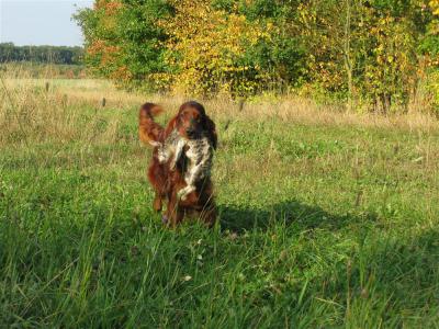 img_3112-hasenapport_bliesh_17.jpg